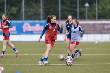 Bild 121 - wBJ Hamburger SV - FC Suederelbe : Ergebnis: 9:0